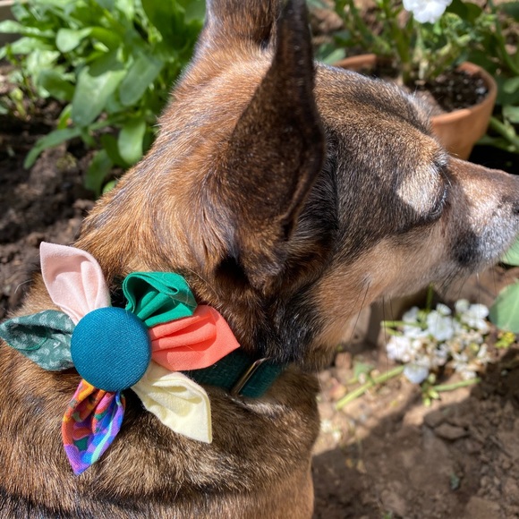 Handmade flower for dogs/cats - Picture 1 of 12